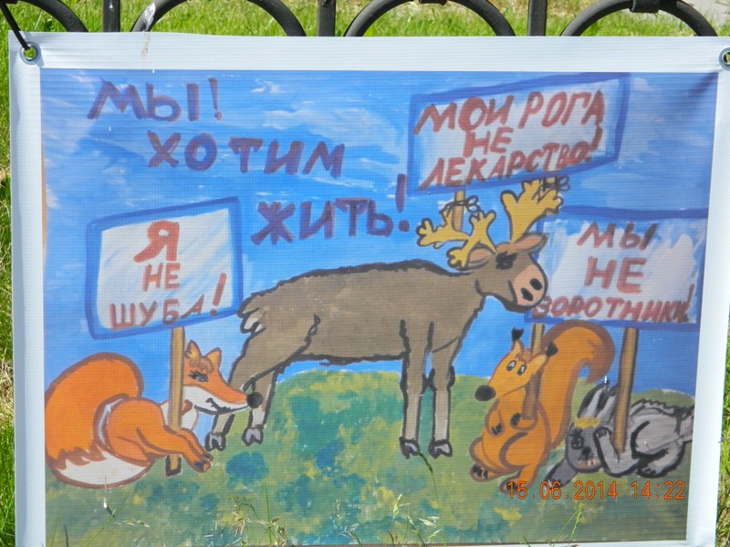 Кронфест Кронштадт