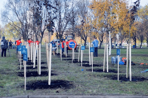 Петербург, Сбербанк, Северо-Западный, волонтер, банк, детский дом, Общественный совет