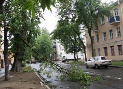 Ураган ломал деревья