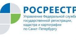 Управление Росреестра проводит горячую телефонную линию