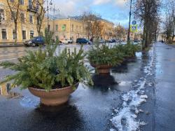 Предновогоднее убранство Кронштадта дополнили композиции с еловыми ветками
