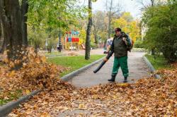 Кронштадт вошёл в тройку лучших по качеству осенней уборки
