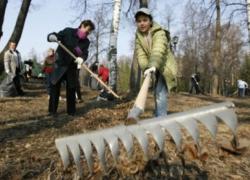 19 октября: субботник и посадка каштанов!