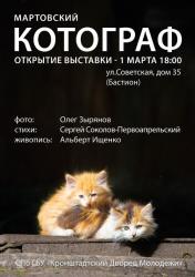 Мартовский Котограф приглашает!