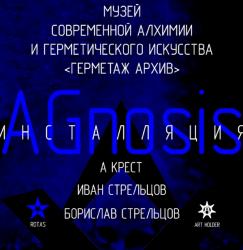 Инсталляцию Agnosis можно посмотреть до 22 декабря