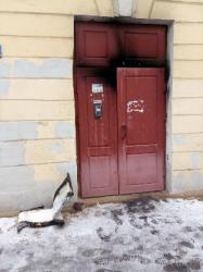 В феврале в Кронштадте произошел один пожар