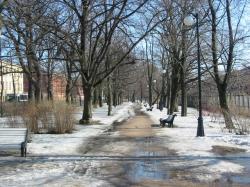Анонсы недели (22.03 - 29.03)